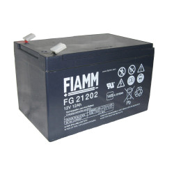 Аккумулятор FIAMM FG21202