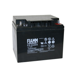 Аккумулятор FIAMM FG24204