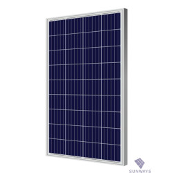 Солнечный модуль Sunways FSM 100P