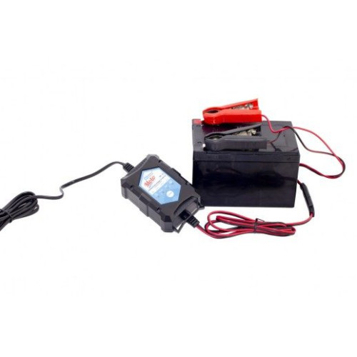 Купить Зарядное устройство Battery Service Moto PL-C001P