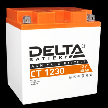 Купить Аккумулятор Delta CT 1230